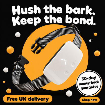 HushPaw - Anti Bark Collar